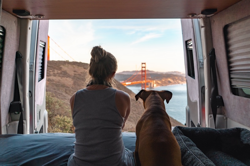 Young Woman and Puppy watching amazing view of San Francisco's Golden Gate Bridge from the back of Van