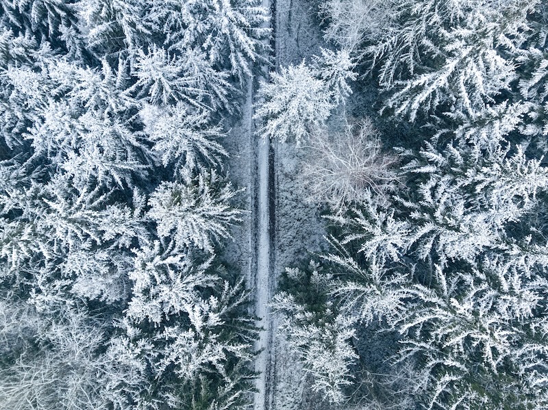 Aerial view of snowy road and forest in winter. Wildlife in winter